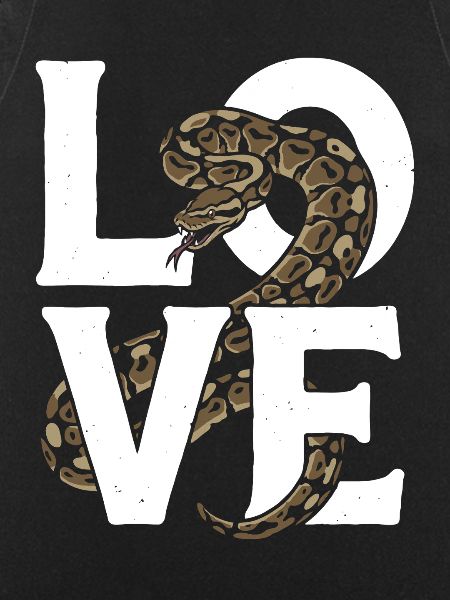 Königspython Schlangen LOVE Terrarium Python