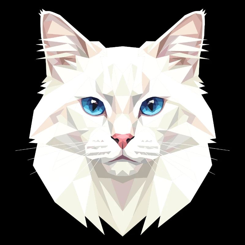 Chat Angora Chat Angora Chat Angora Mignons Chats Angora
