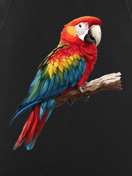 Macaw's Era