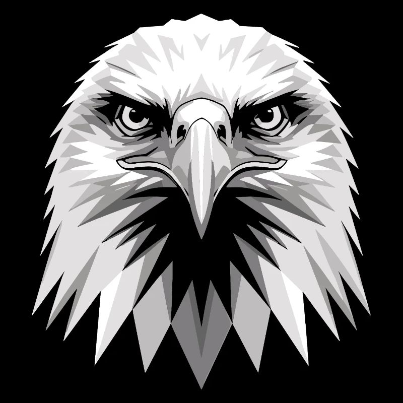 Eagle Bald Eagle Golden Eagle White-tailed Eagle