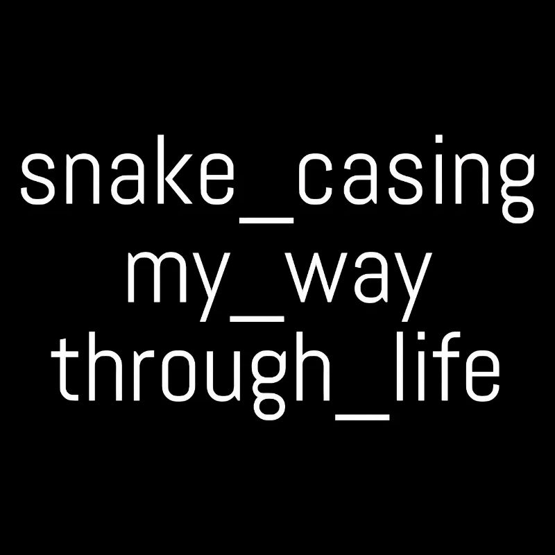 Snake Casing – Lebensweg | Informatiker | Nerd