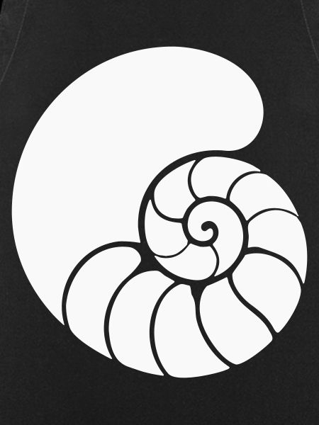Spiral Pattern Shell