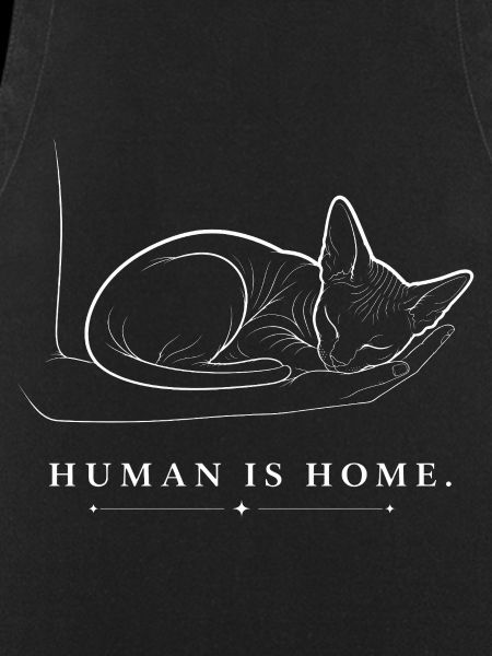 Sphynx Cat – Human Is Home