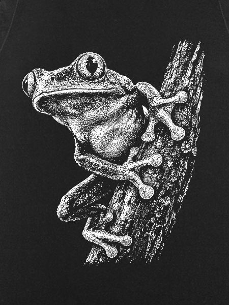 Kleiner Frosch am Ast