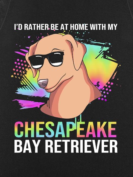 Chesapeake Bay Retriever