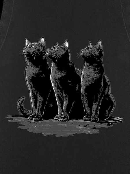 Katzen 
