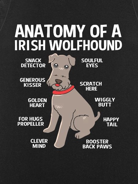 Irischer Wolfshund