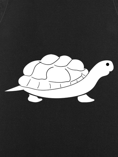 Turtle Turtle