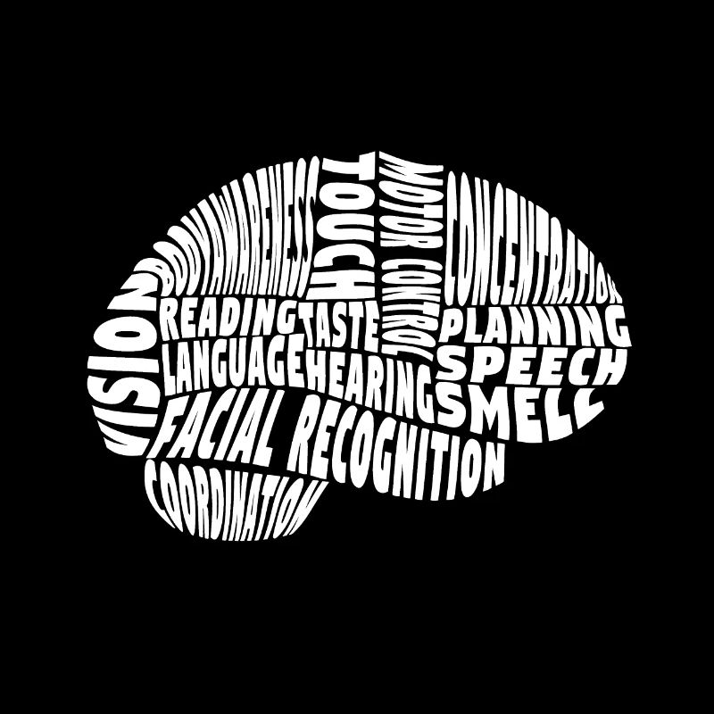 Brain areas functions