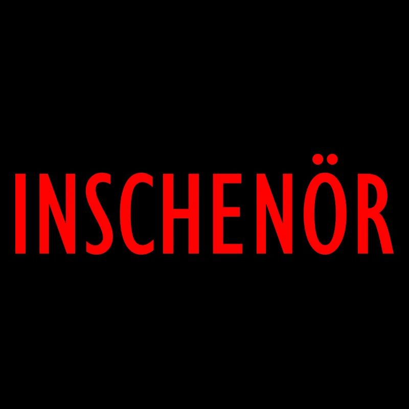 Inschenör Ingenieur Bachelor Master Diplom Student