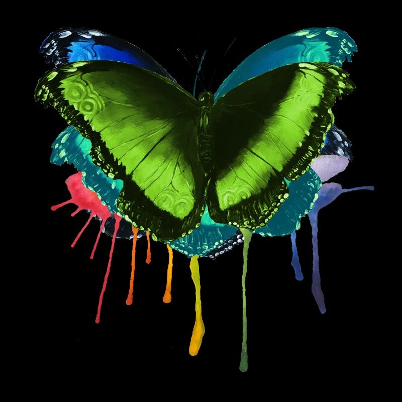 Papillon mouche arc-en-ciel colorée par Mme Peanut