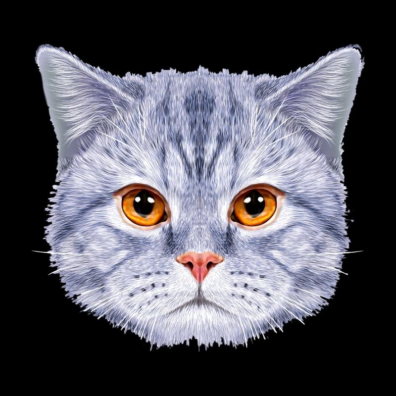 Tête de chat Visage de chat Bleu