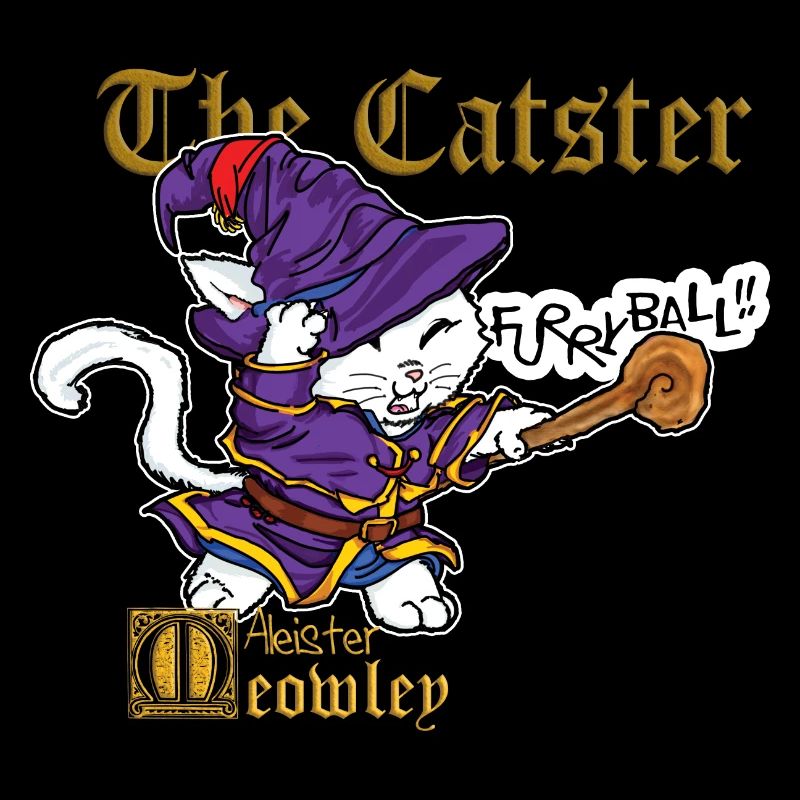 mignon chat sorcier sorcier sort fantaisie