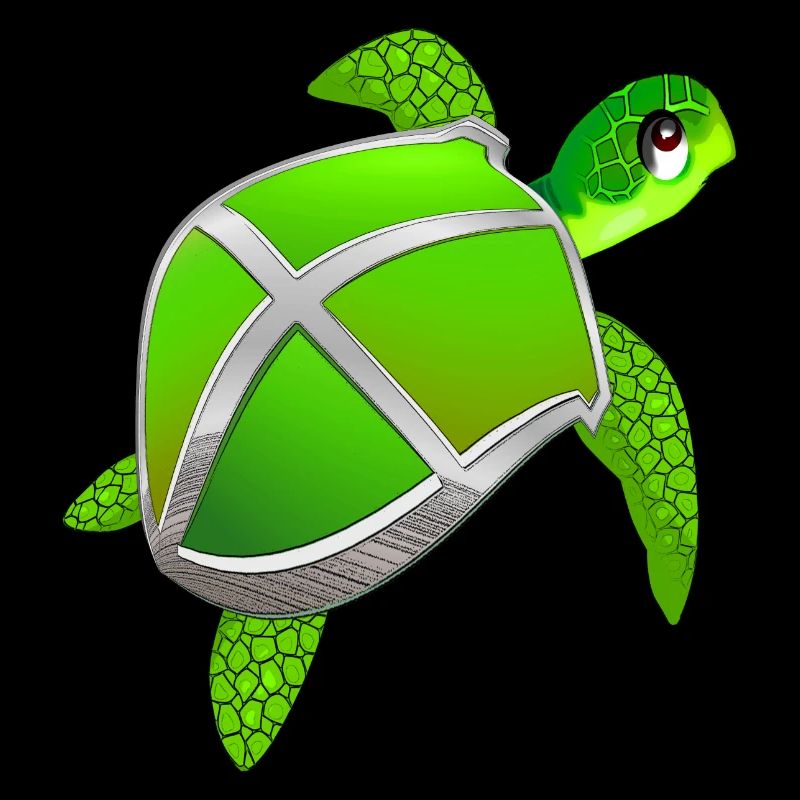 Tortue avec bouclier - drôle d’animal