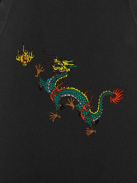 Dragon dragon