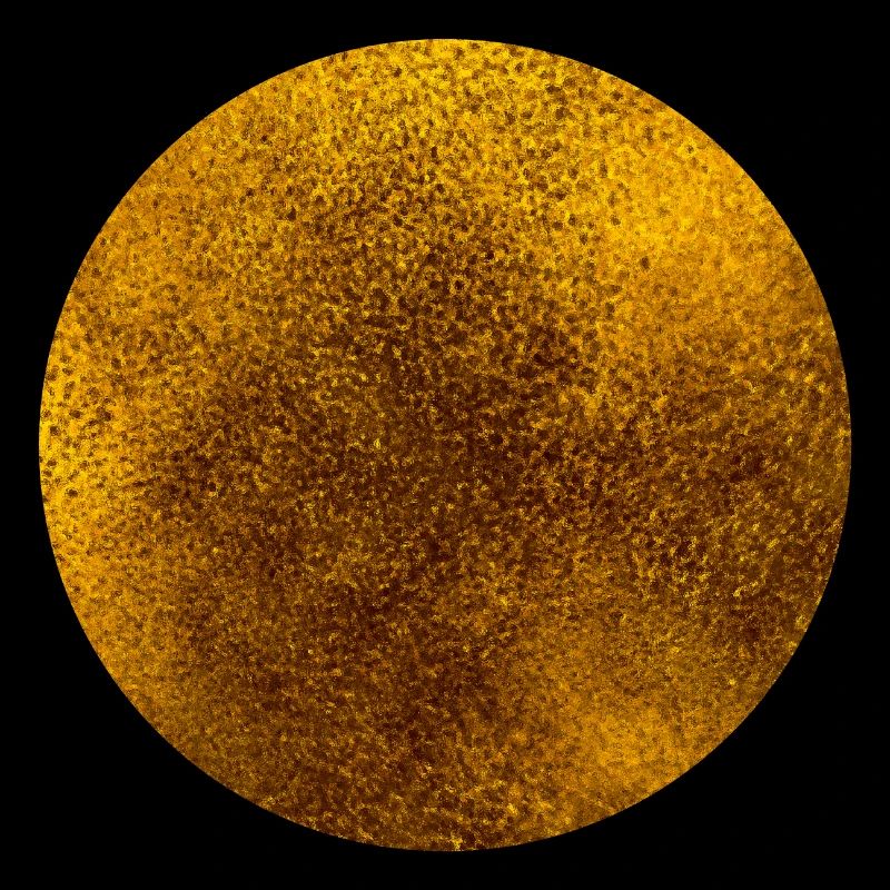 CIRCLES CIRCLES GOLD 1