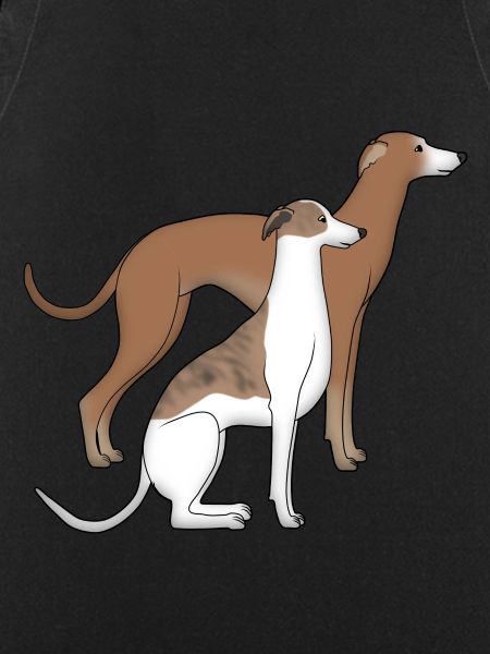 Two whippets