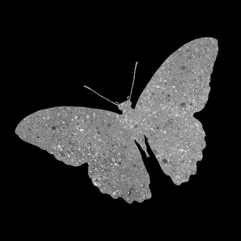2020 07 27 papillon de béton