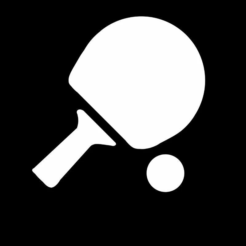 Table tennis racket table tennis table tennis player