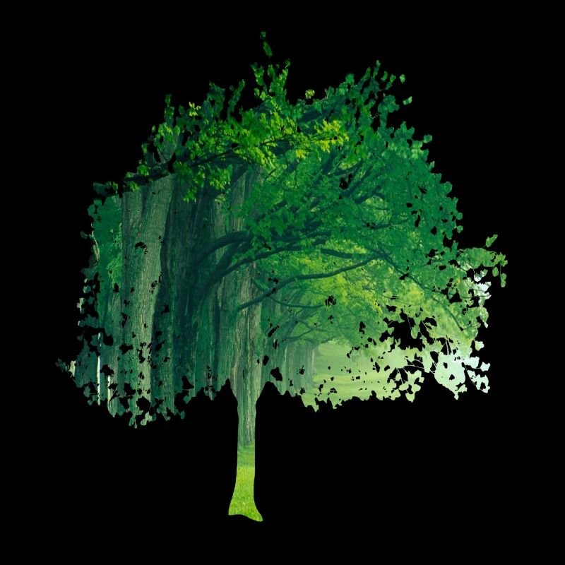 Fractals & Rainbow, Nerd Gift, Tree & Colorful