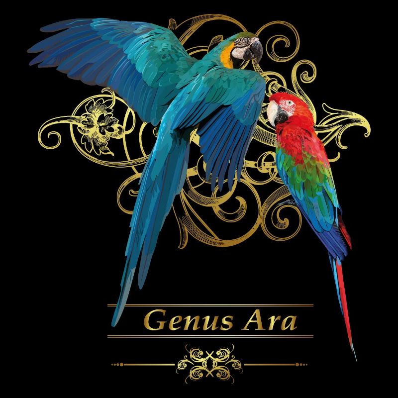 Macaws