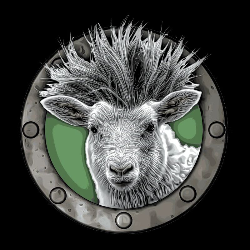 Punkschaf