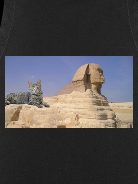 Cat and Sphinx