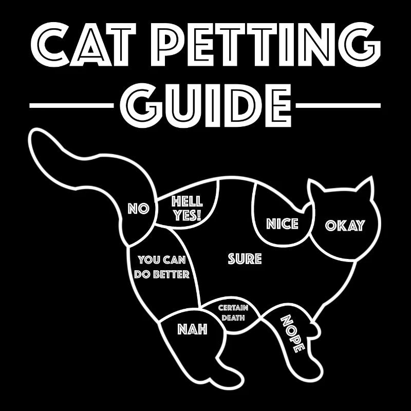 Instructions pour les caresses de chat | Chat, caresses, amusement