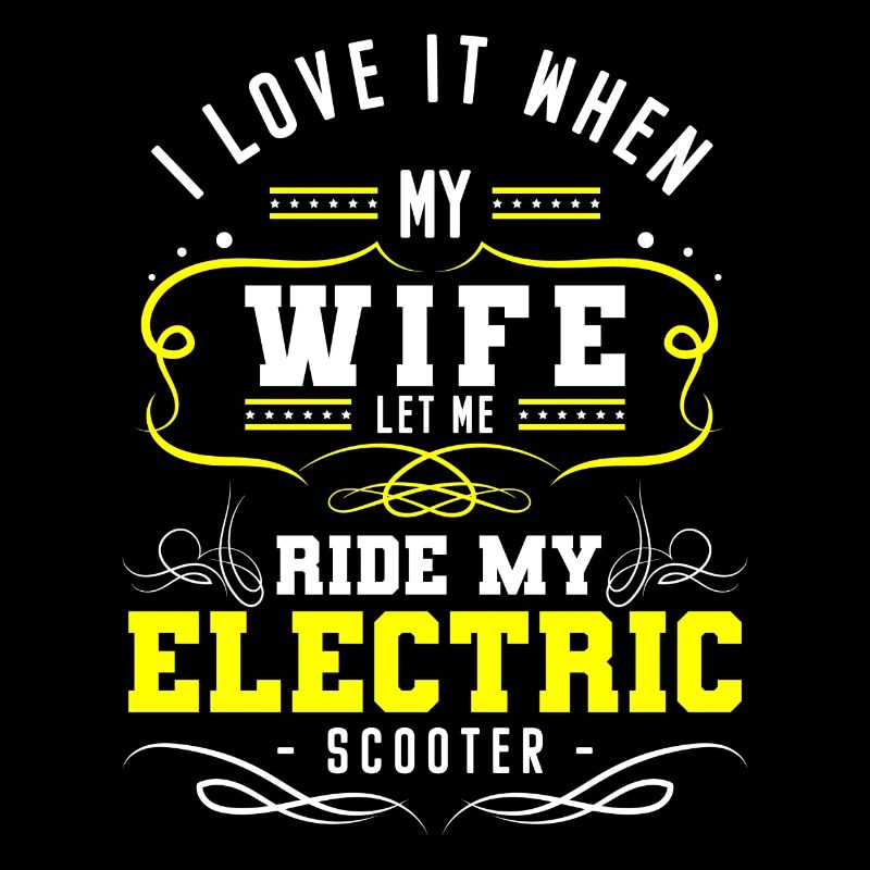E-Scooter Stromer Roller Sport Hybrid