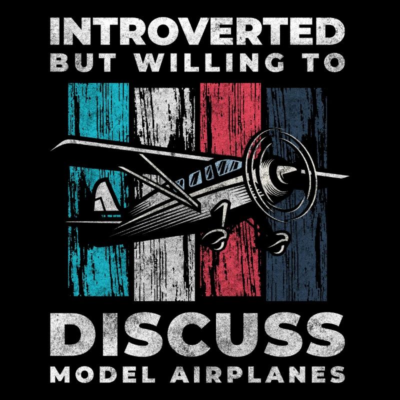 Modellflugzeug Modell Flugmaschine Flug