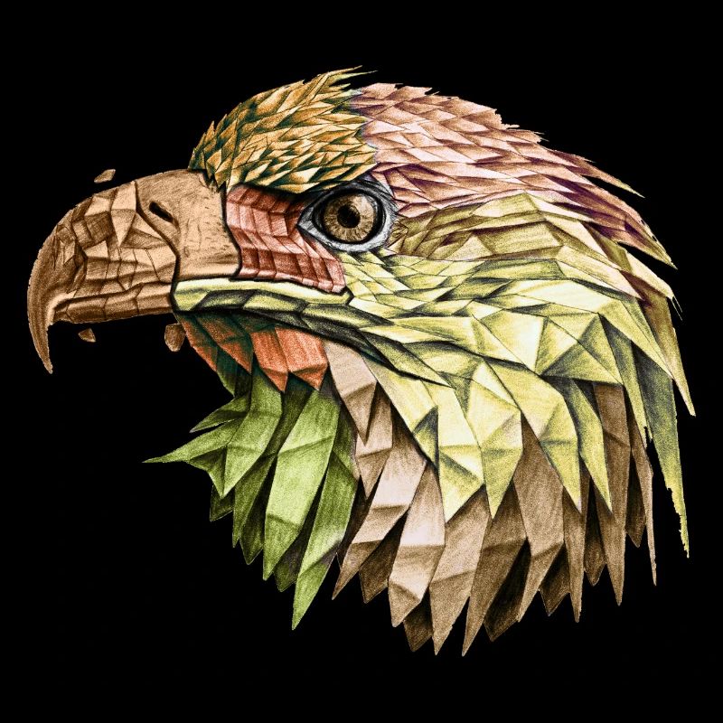 aigle aigle