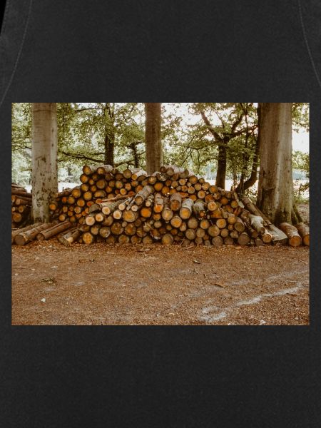 Wood in forest