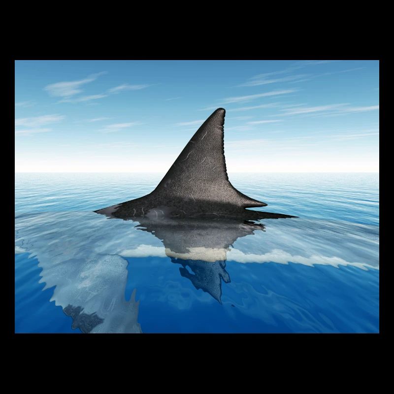 Great white shark