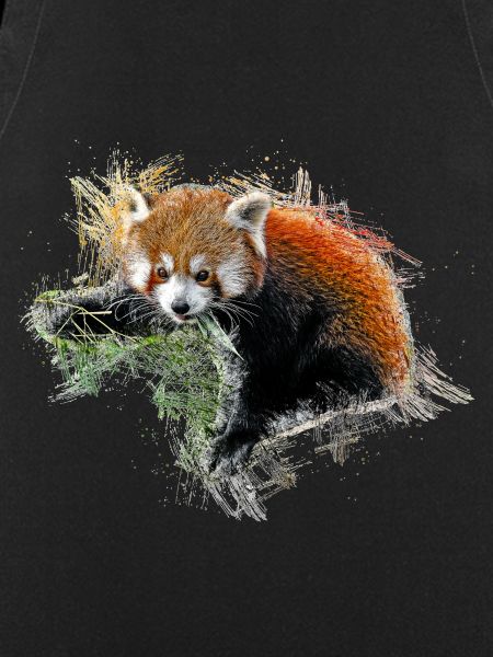 Red panda bear