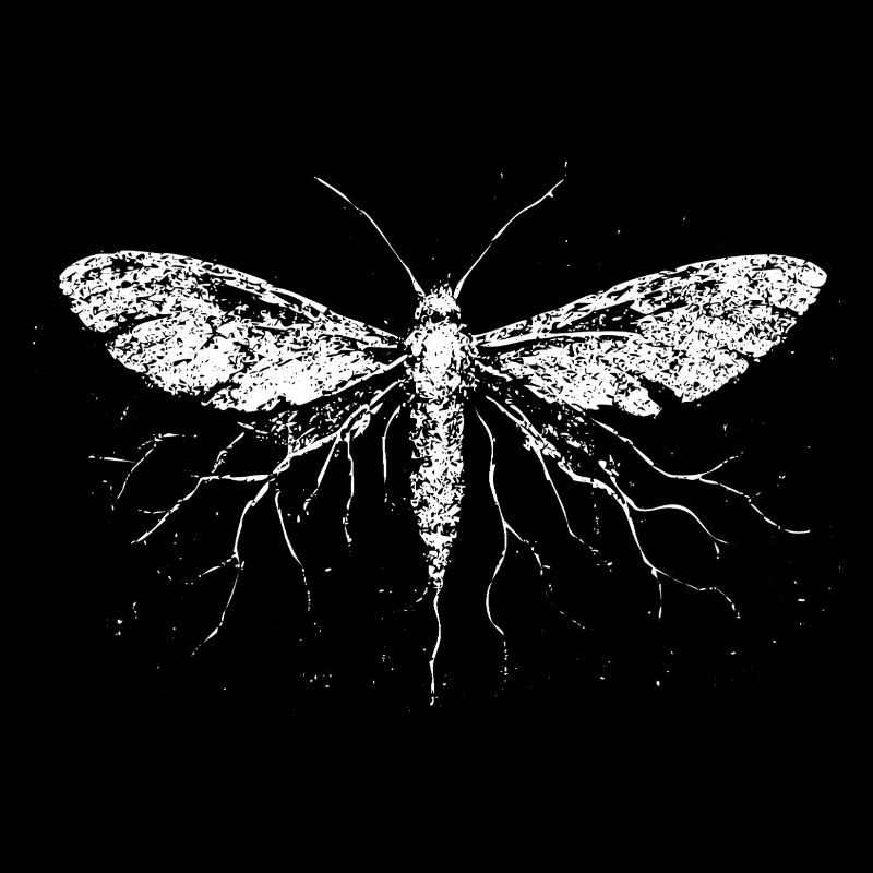 Papillon de nuit électrifié