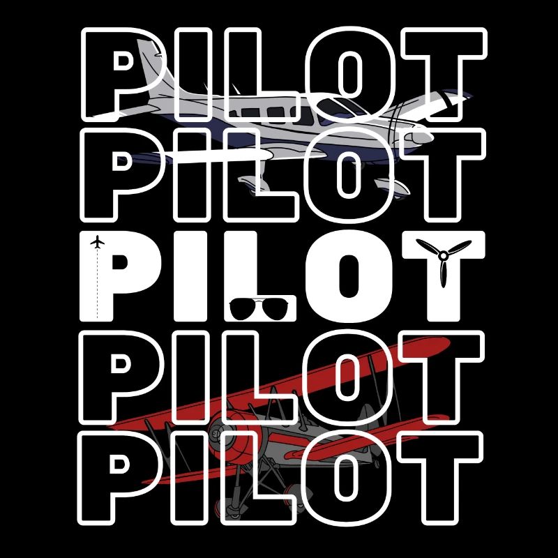 Pilot Jet Airplane Cabin crew Commander Co-Pilot