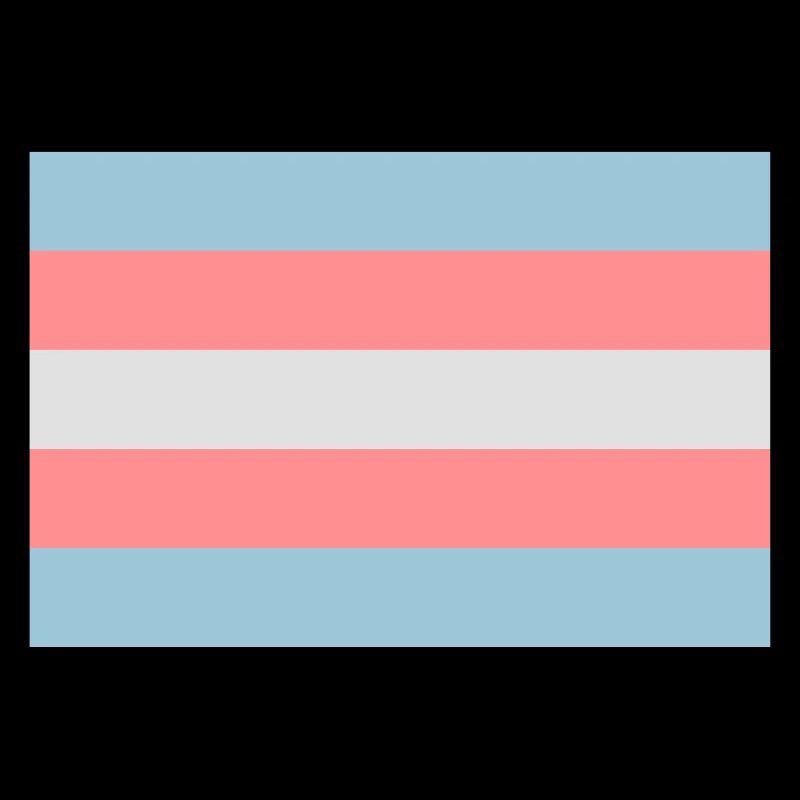 Transgender-Pride-Flag.