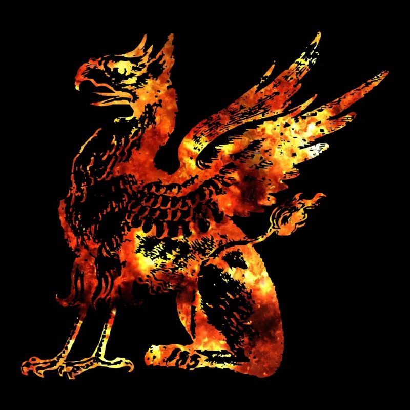 Drache