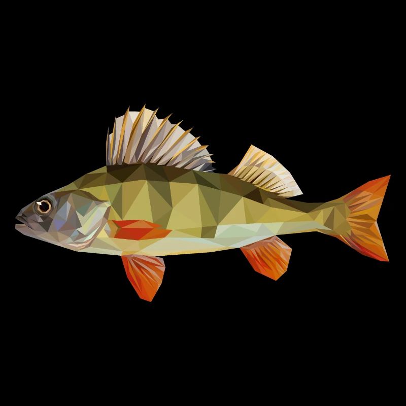 Low poly Barsch