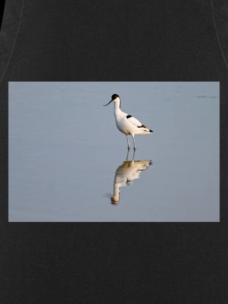 Avocet