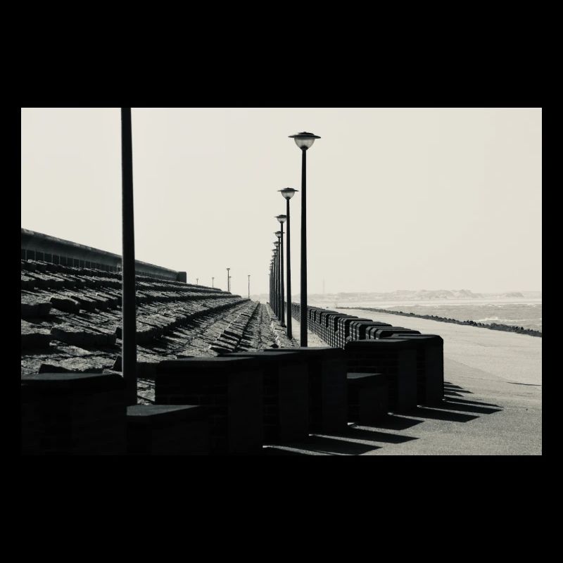 IMG 0025