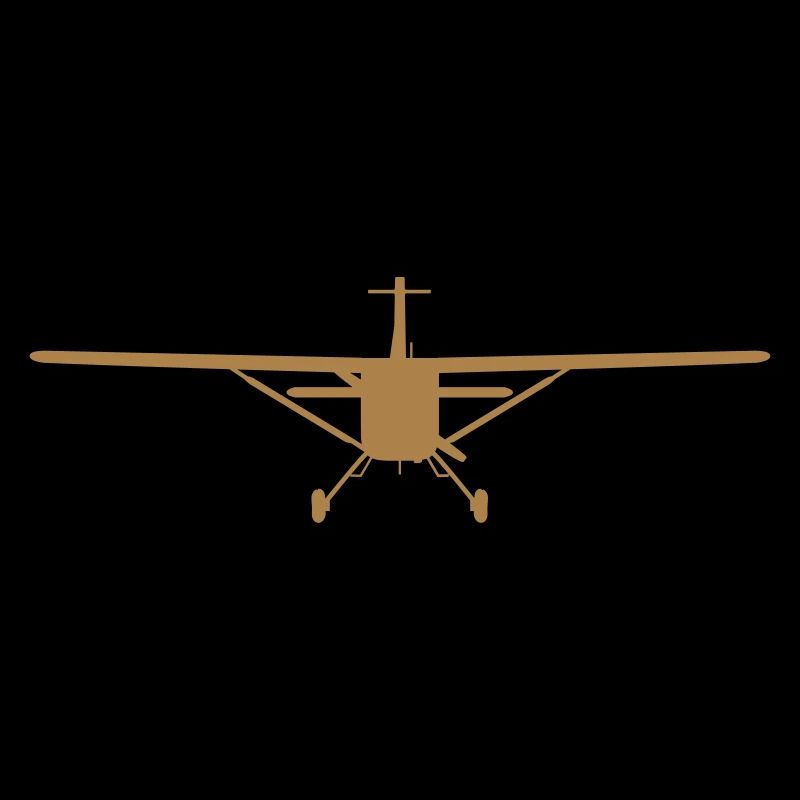 Flugzeug-Silhouette von vorn [vec]