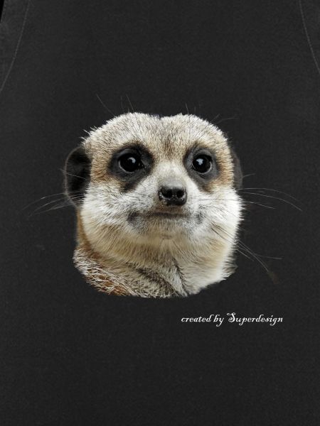 suricates