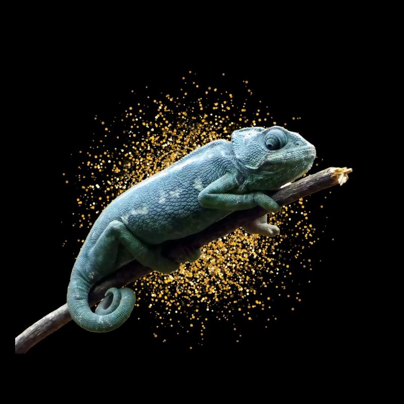 chameleon