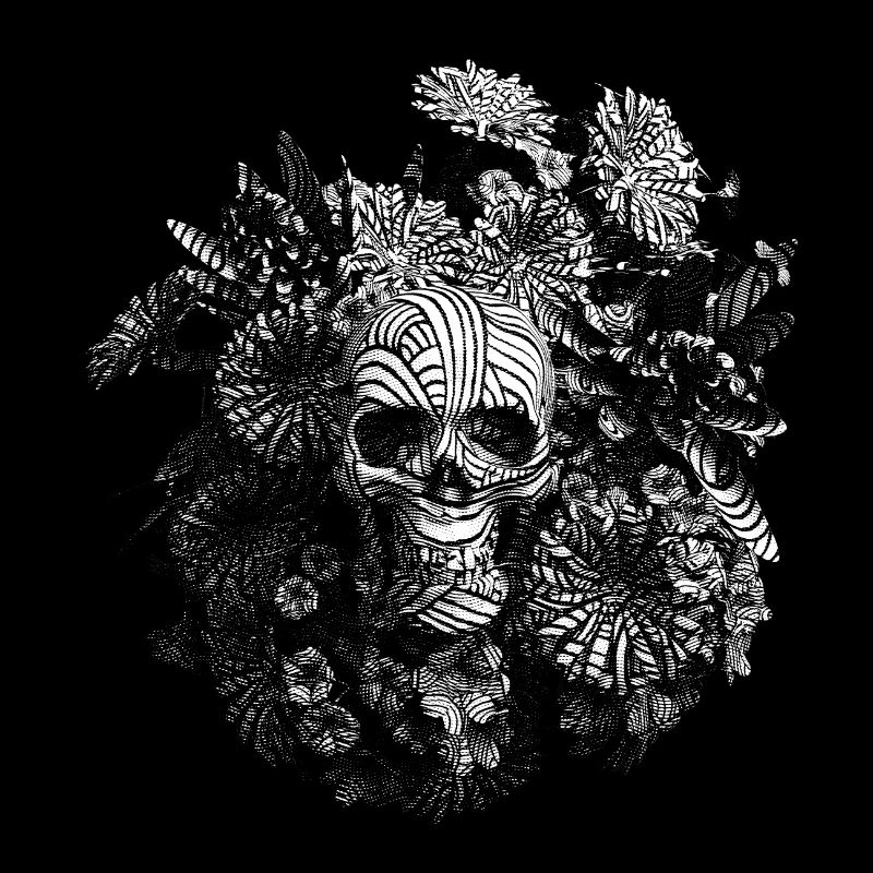 Engraved Skull