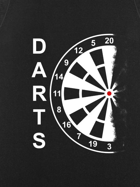 Darts dartboard
