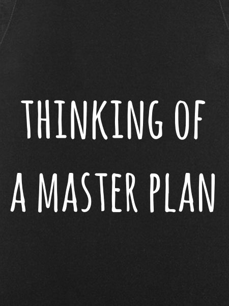 The master plan