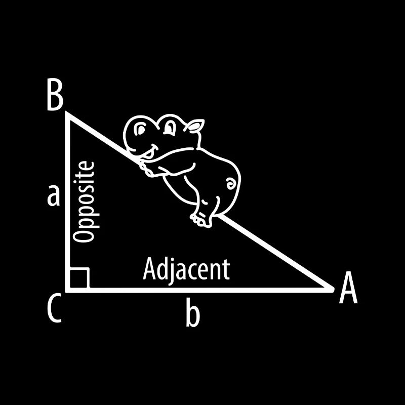 Pythagorean theorem
