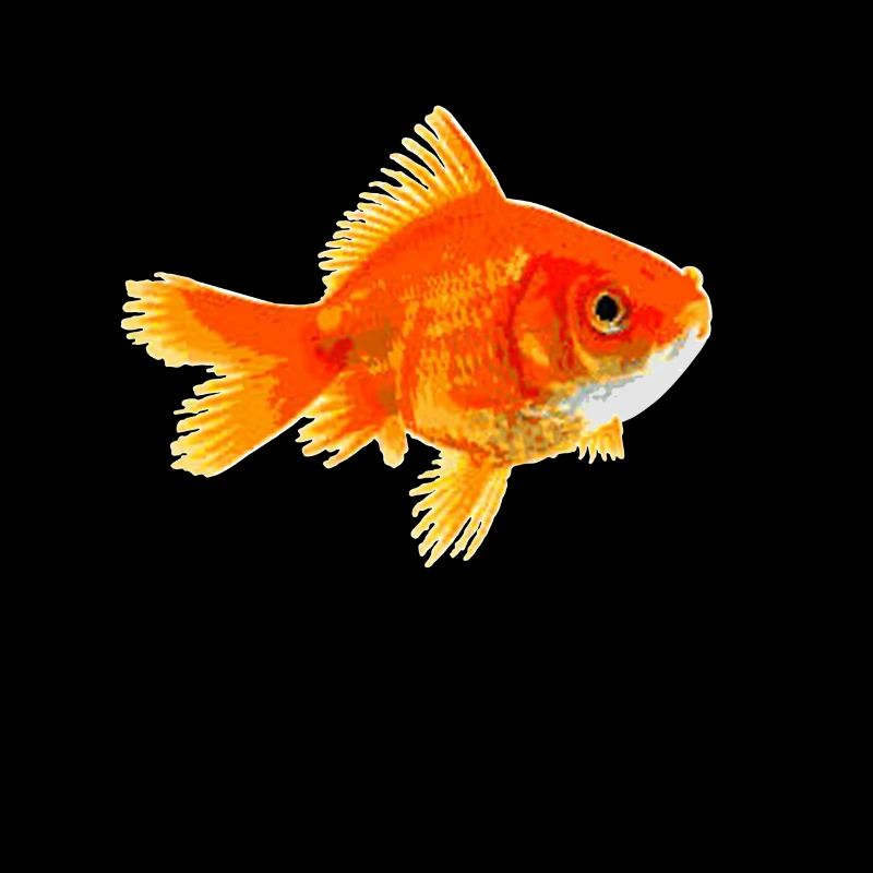 Goldfisch