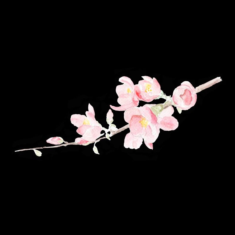 Fleur de cerisier - Sakura